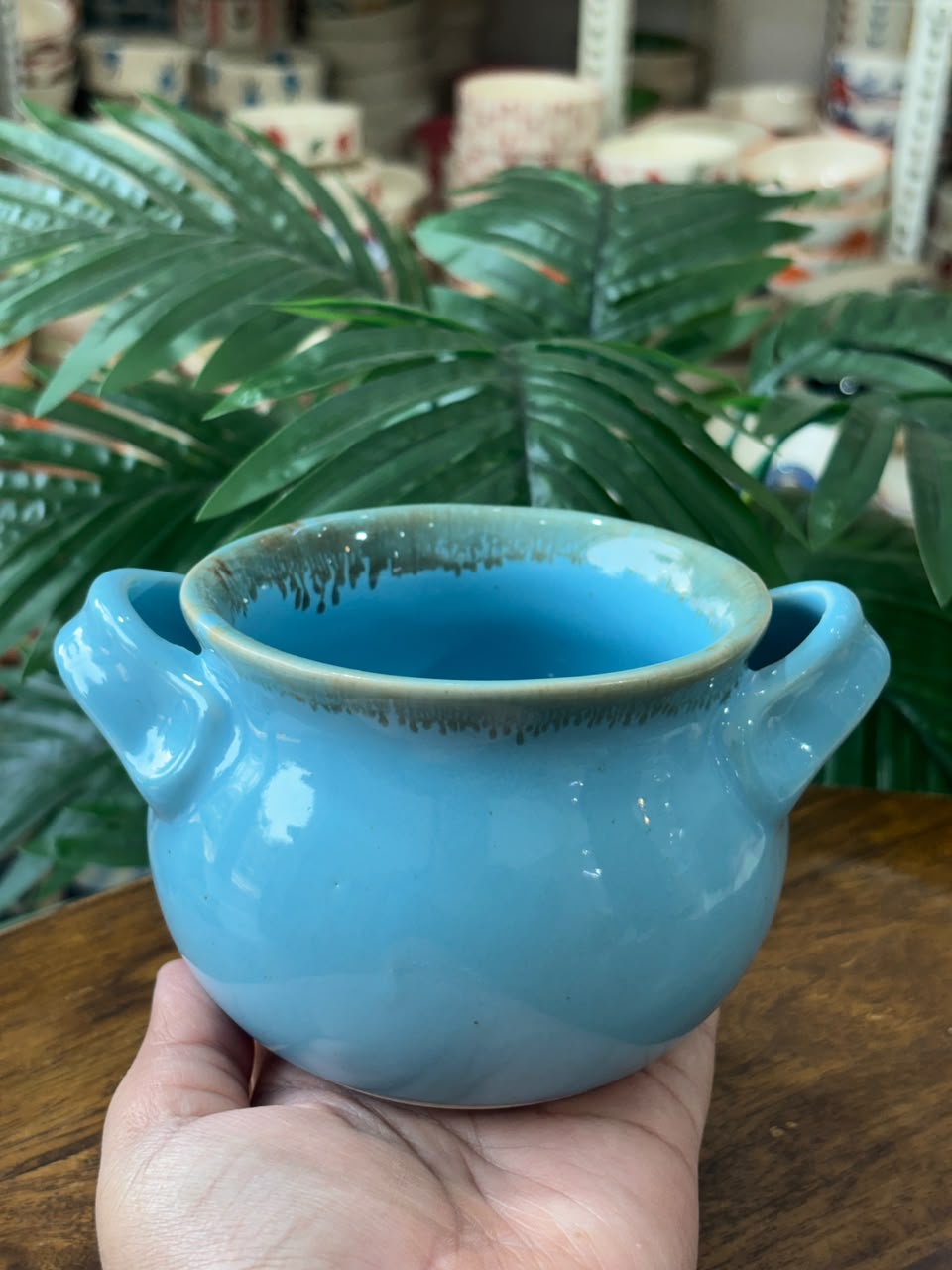 Aqua Cravings Noodle Pot