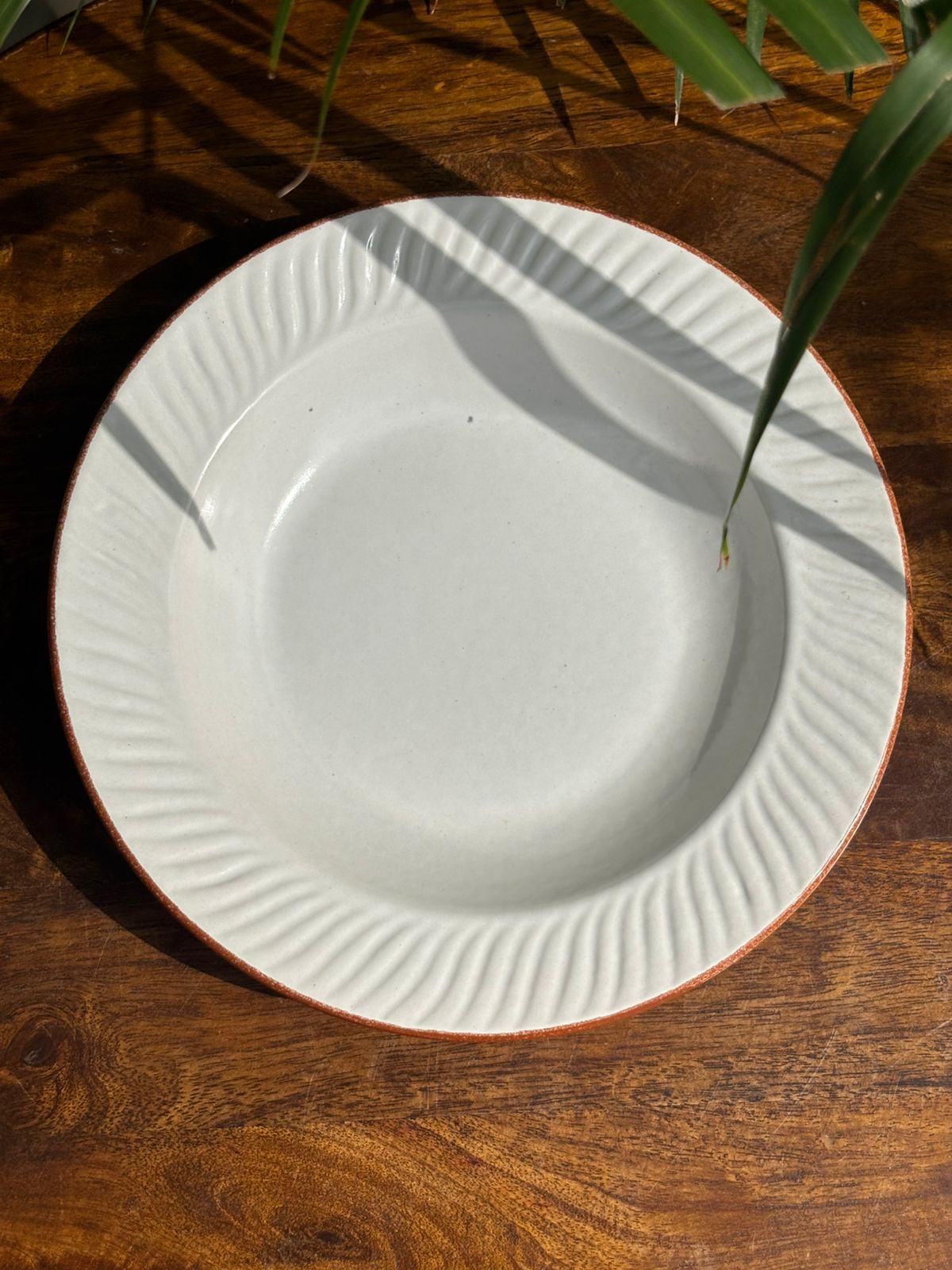 White Pasta Plates with Brown Line Rim (Set of 2) – House