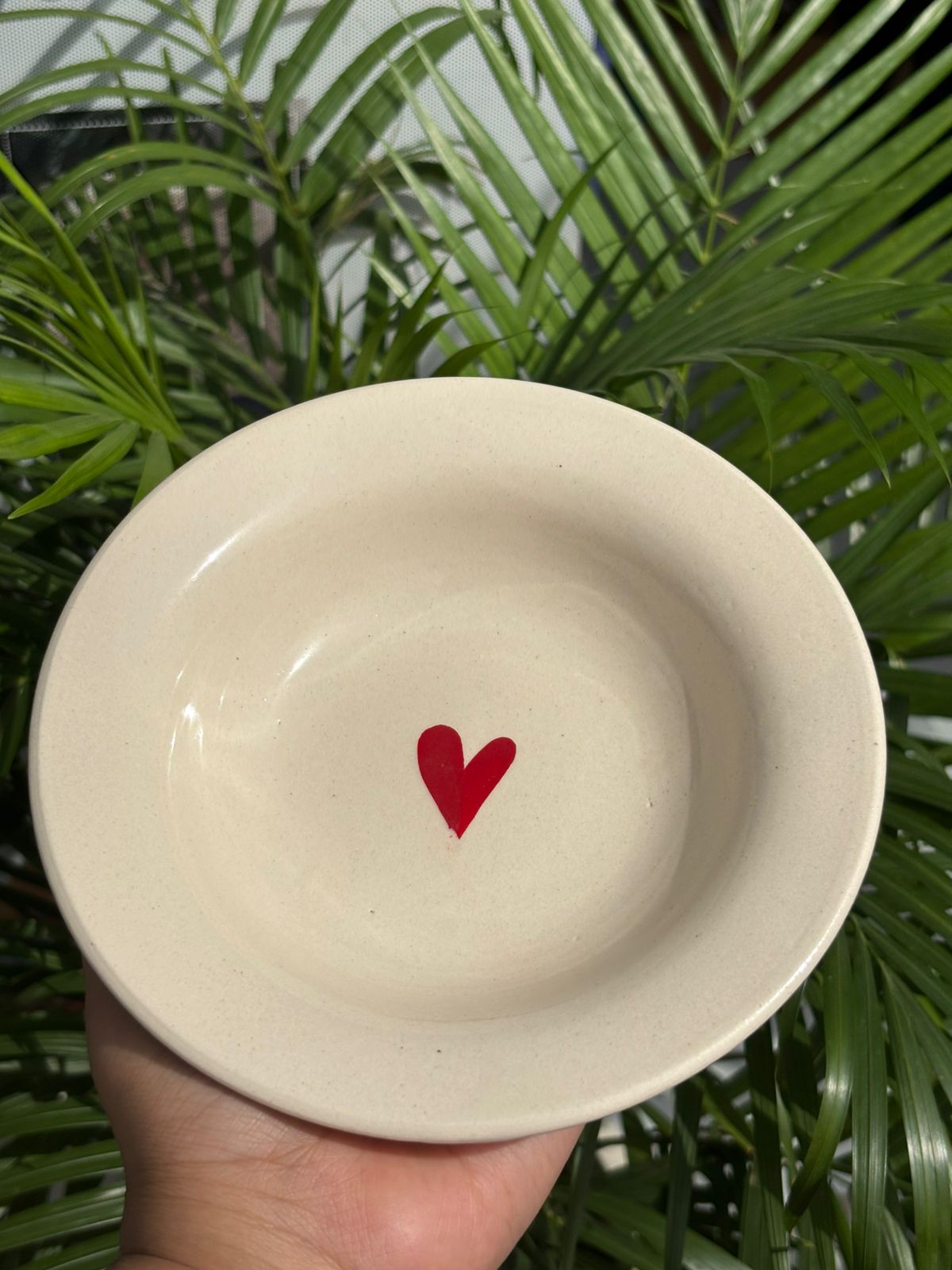 Multi Design Pasta Plates Combo Set (Set of 3)