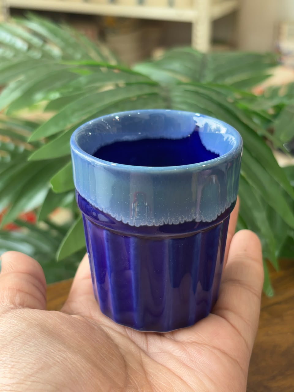 Midnight Indigo Kulhad