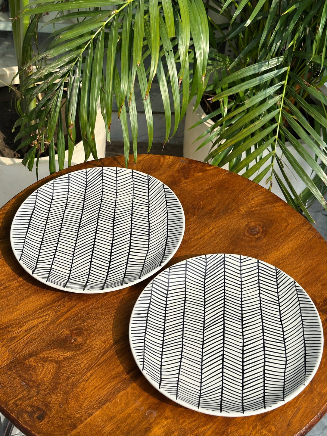 Black Willow Charm Handcrafted Premium Dinner Plates Set of 2