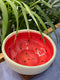 Watermelon Snack Bowl