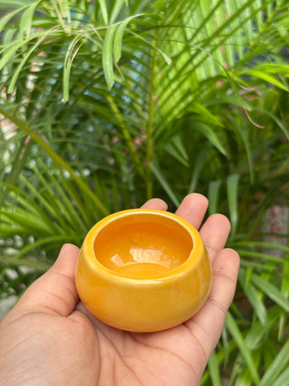 Shubh Rang Diya's (Set of 5 Assorted Colors)