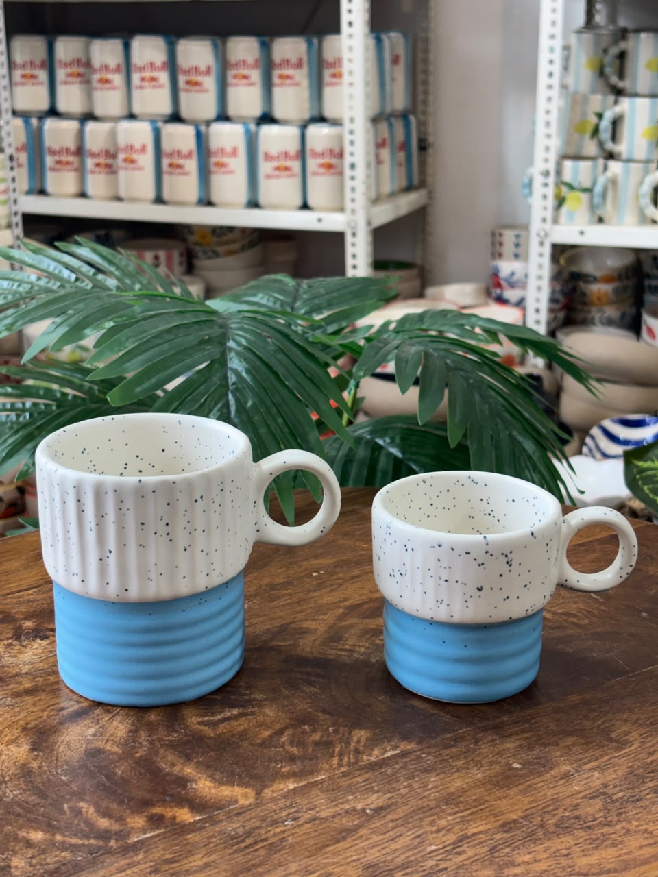 Like Father, Like Son – Blue Mug Duo