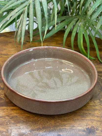 Mocha Mist Snack/Serving Bowl