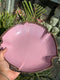 Velvet Blossom Serving Plate